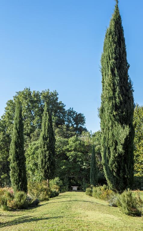 Villa Pandolfi Elmi Spello Exterior foto